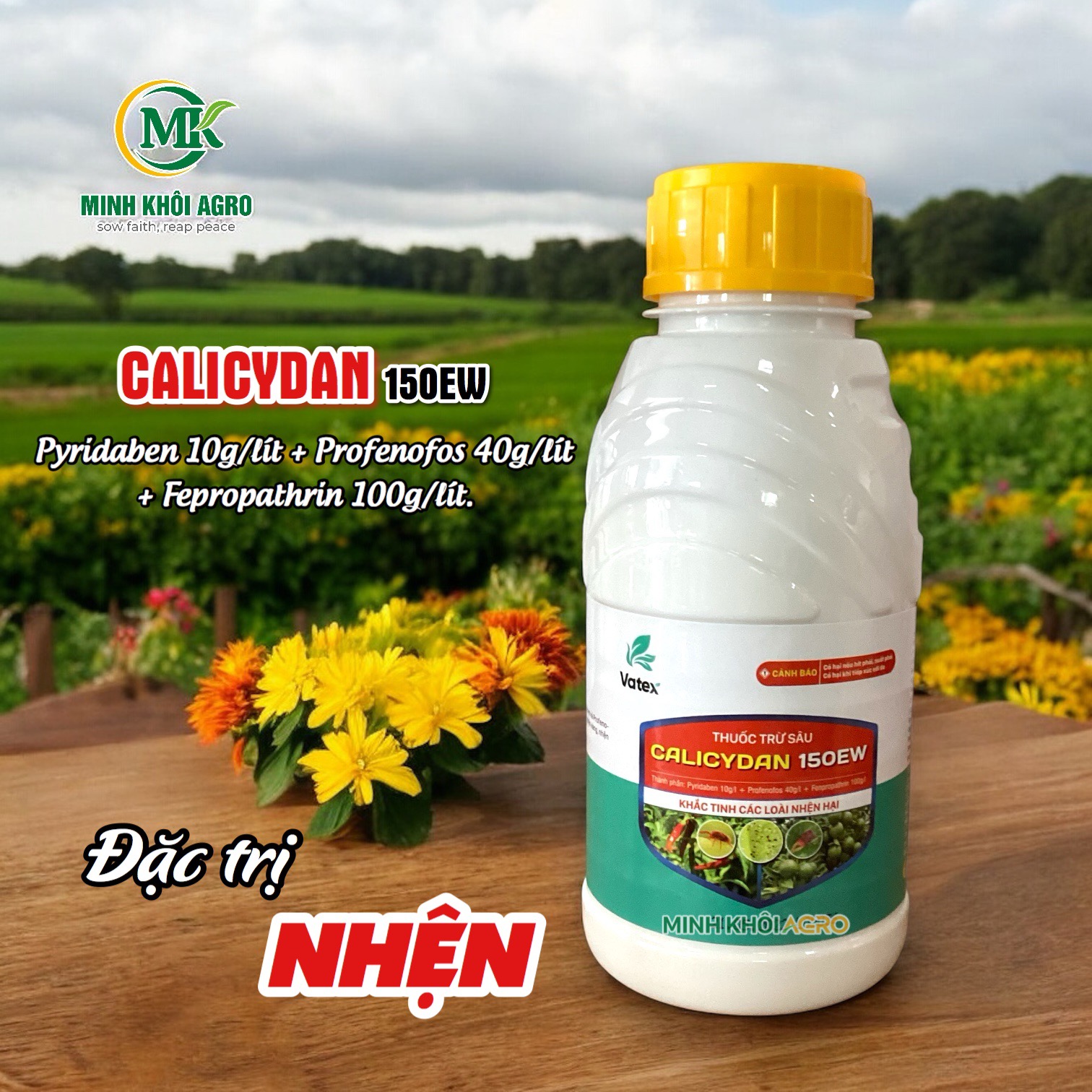 Thuốc trừ nhện CALICYDAN 150EW | Sạch nhện, mát cây